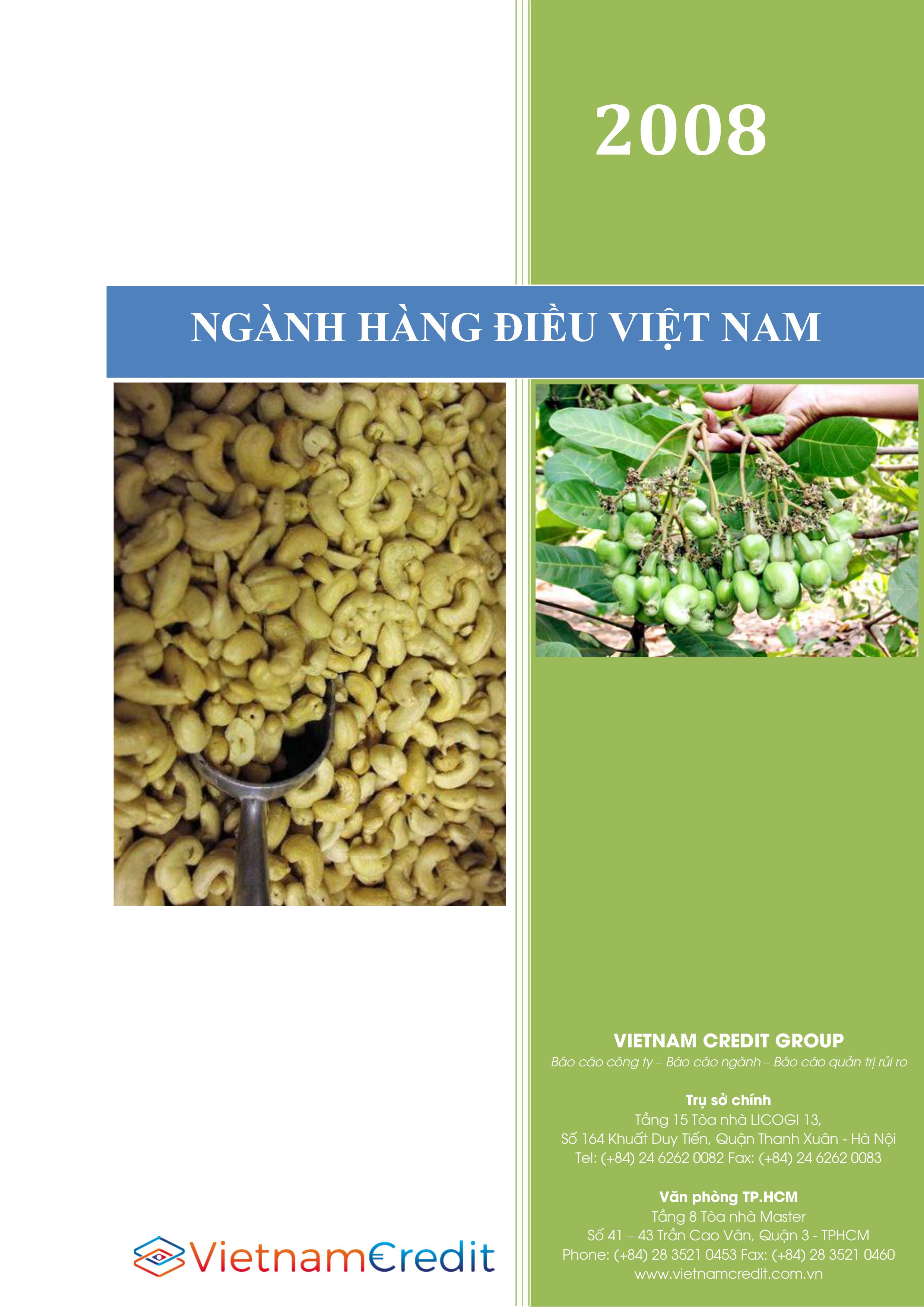 Báo cáo ngành Điều Việt Nam 2009