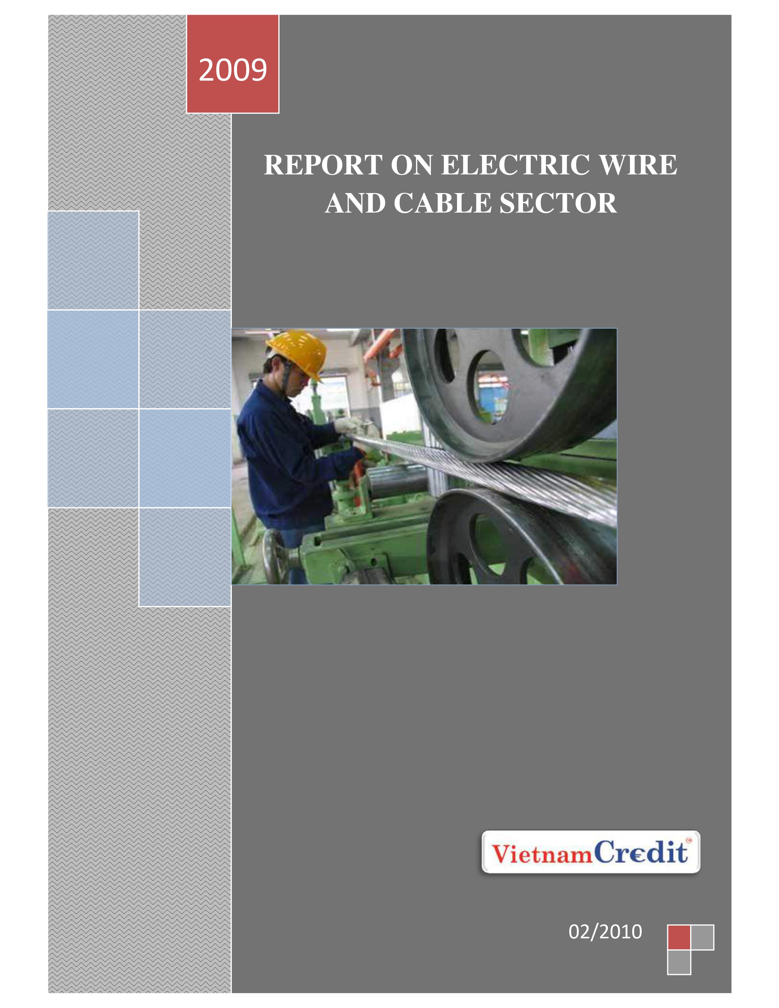 Vietnam Electric Wire and Cable Sector Industry Report 2010