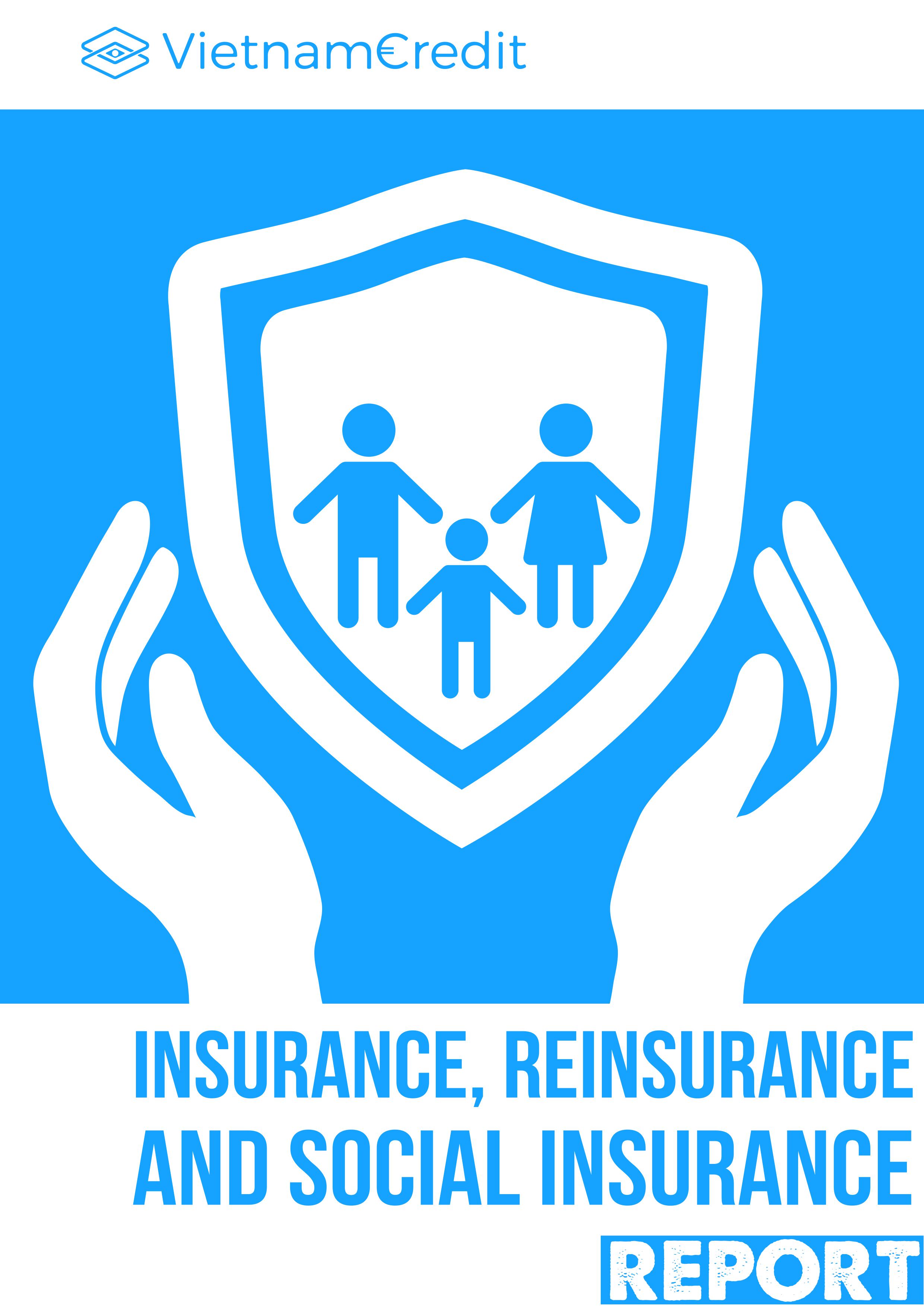 Vietnam Insurance, Reinsurance and Social Insurance Industry Report 2020