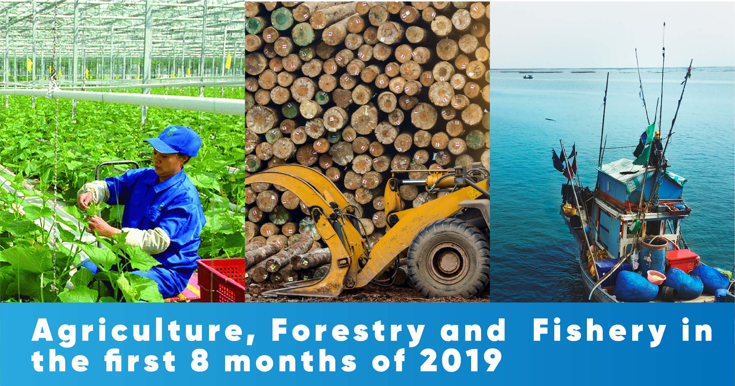 Agriculture, forestry and fishery in the first 8 months of 2019