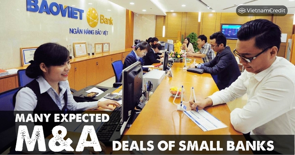 MANY EXPECTED M&A DEALS OF SMALL BANKS