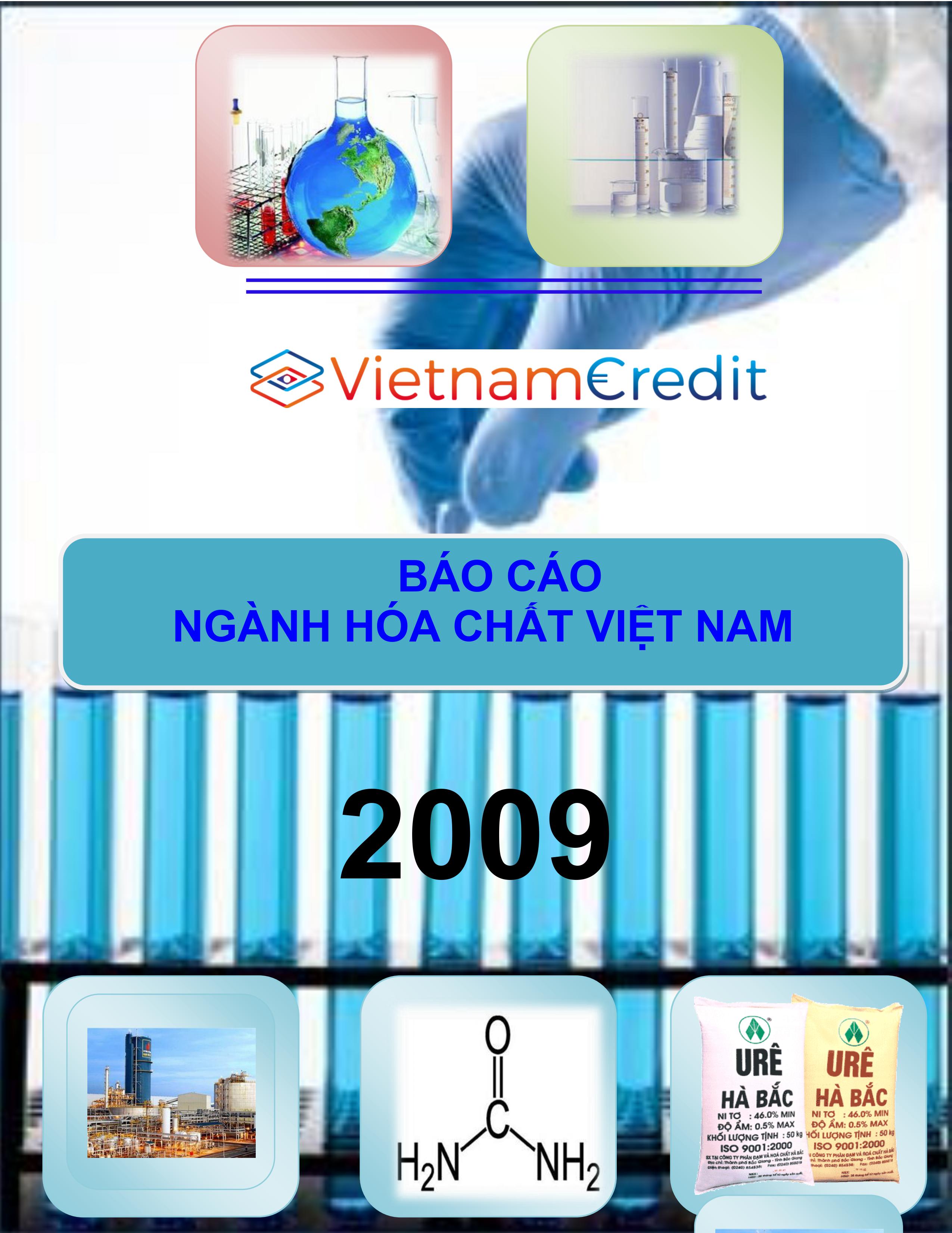 Báo cáo ngành Hóa chất Việt Nam 2009
