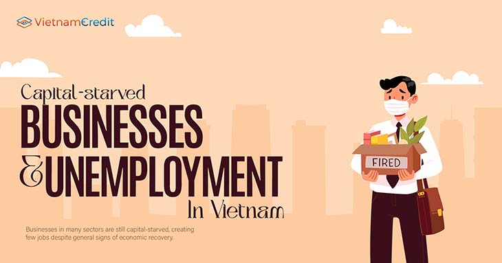 Capital-starved businesses and unemployment in Vietnam