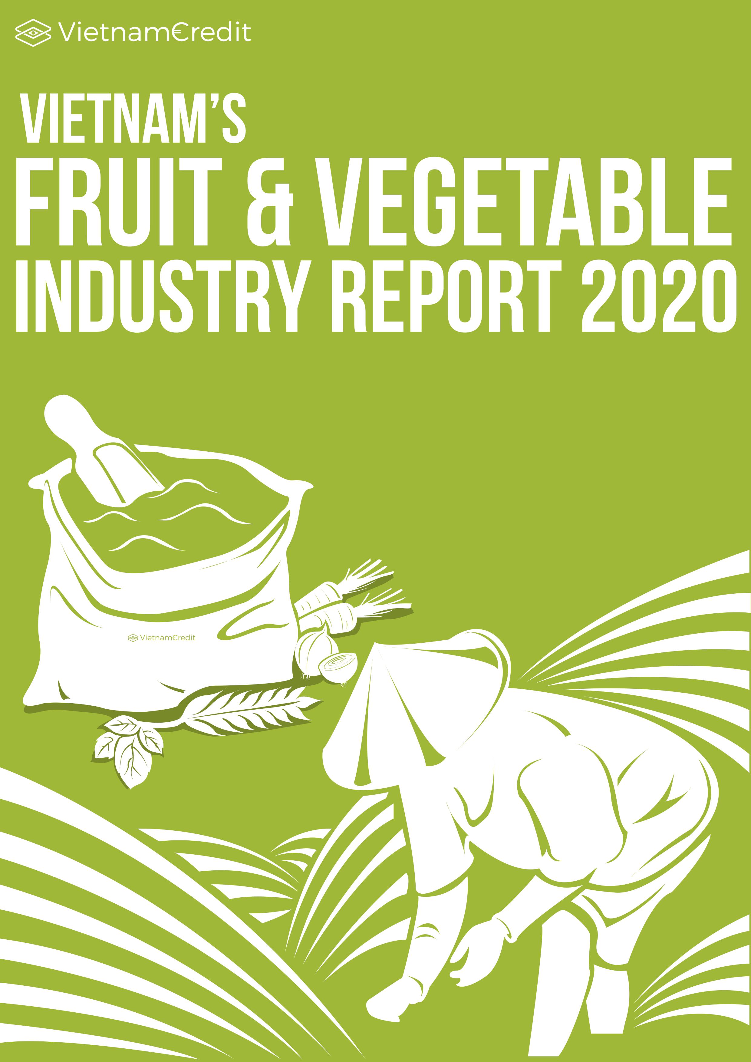 Vietnam Fruit and Vegetable Industry Report 2020