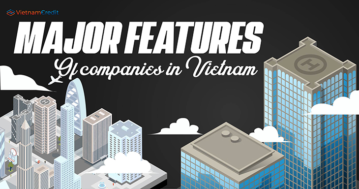 Major features of companies in Vietnam