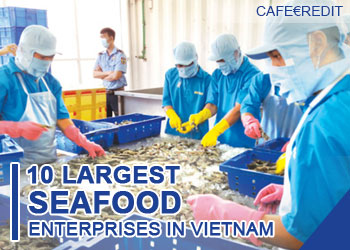 10 largest seafood enterprises in Vietnam