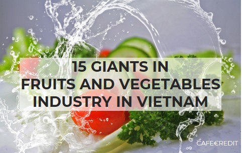 15 GIANTS IN FRUITS AND VEGETABLES INDUSTRY IN VIETNAM