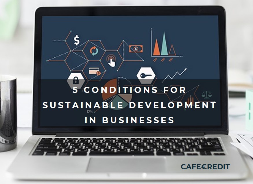 5 CONDITIONS FOR SUSTAINABLE DEVELOPMENT IN BUSINESSES