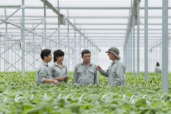Vietnam seeks global help to lift agriculture sector