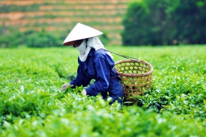 ADB: High growth rate yet high risk of lagging behind
