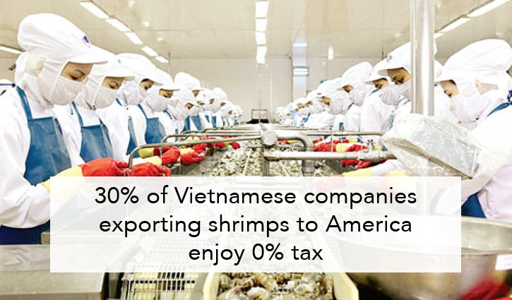 30% of Vietnamese companies exporting shrimps to America enjoy 0% tax