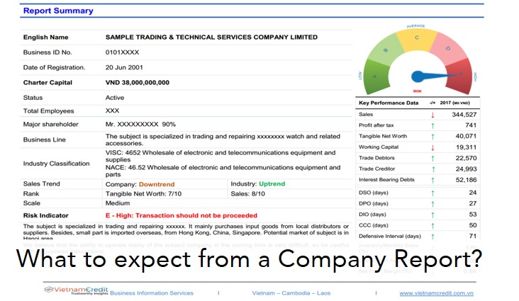 What to expect from a Company Report?