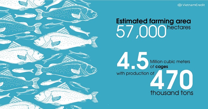Overview of Vietnam’s fishery industry 2019