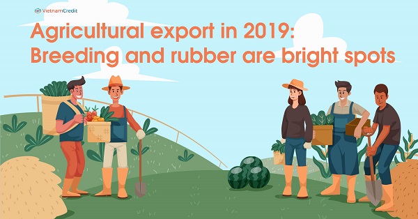 Agricultural export in 2019: Breeding and rubber are bright spots