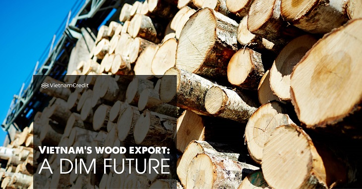 Vietnam’s wood export: a dim future