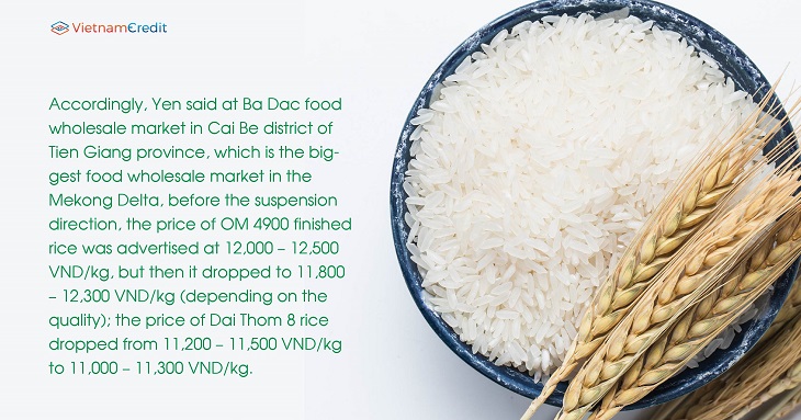 The price of rice reverses after the export suspension direction