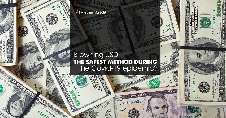 Is owning USD the safest method during the Covid-19 epidemic?
