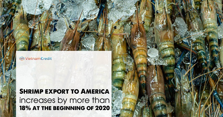 Shrimp export to America increases by more than 18% at the beginning of 2020