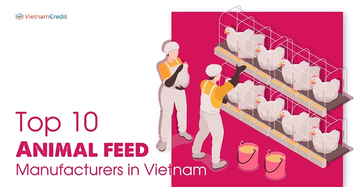 Top 10 animal feed manufacturers in Vietnam