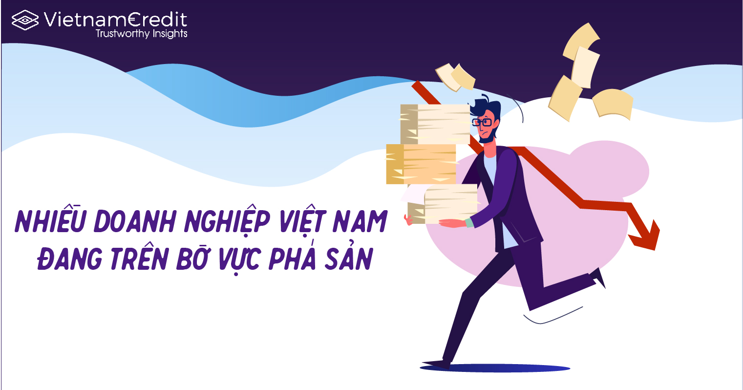 Nhiều doanh nghiệp Việt Nam đang trên bờ vực phá sản