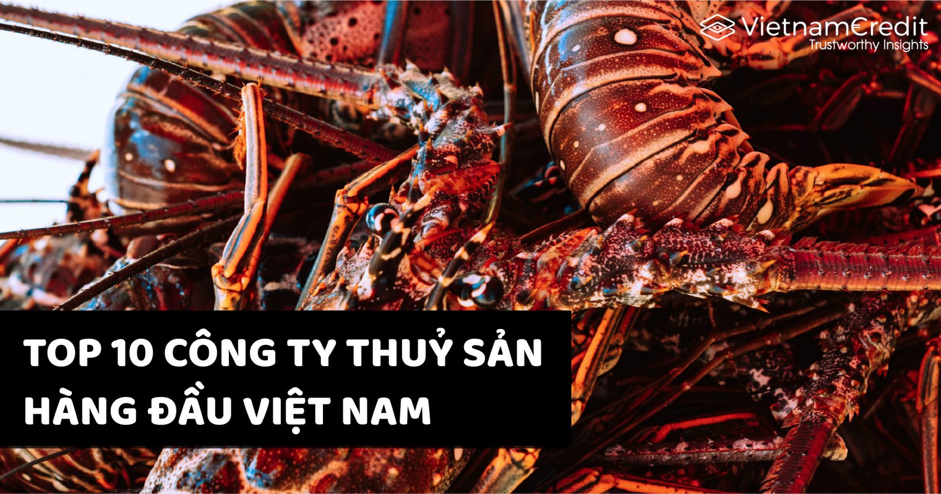 Top 10 công ty thủy sản hàng đầu Việt Nam