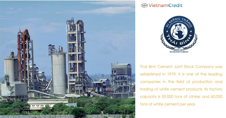 THAI BINH CEMENT JOINT STOCK COMPANY