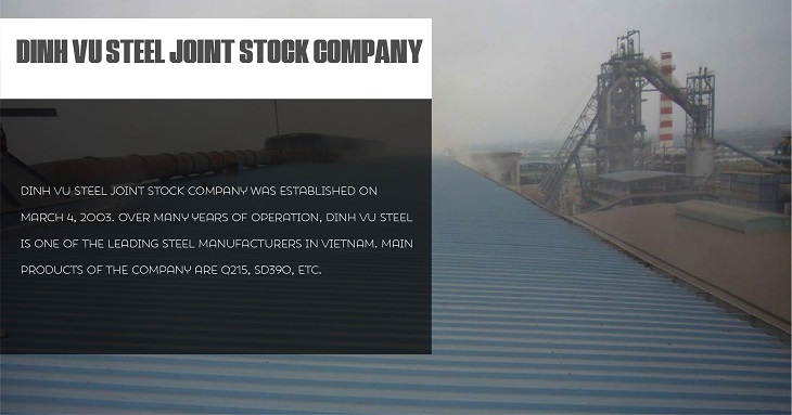 DINH VU STEEL JOINT STOCK COMPANY
