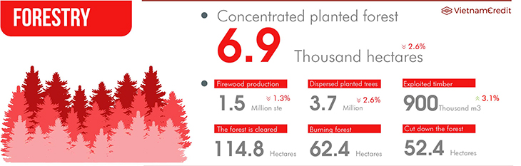 Forestry production