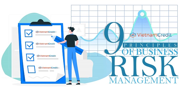 9 Principles Of Business Risk Management