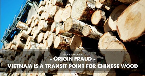 Origin fraud - Vietnam is a transit point for Chinese wood