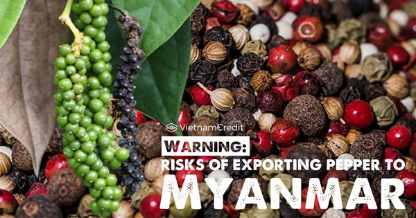 Warning: risks of exporting pepper to Myanmar