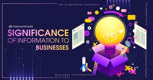Significance of information to businesses