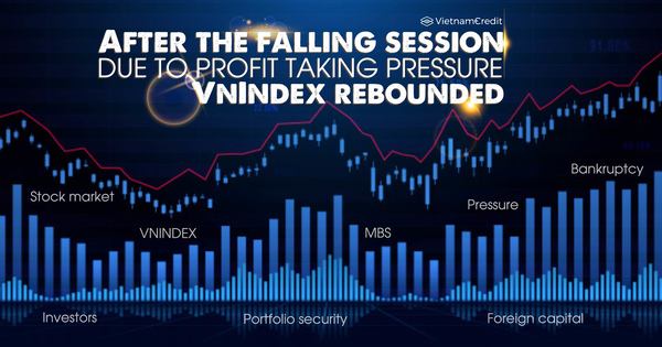 After the falling session due to profit taking pressure, VnIndex rebounded