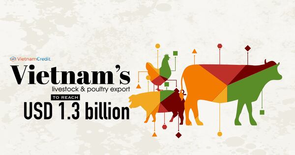 Vietnam’s Livestock & Poultry Export To Reach Usd 1.3 Billion