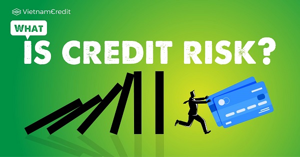 What Is Credit Risk?