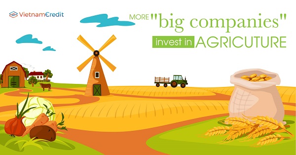 More big companies invest in agriculture