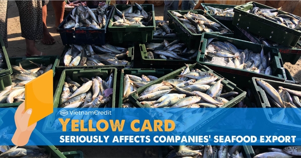 Yellow card seriously affects companies’ seafood export