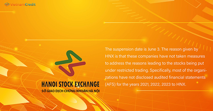 stock codes suspended from trading Vietnam 2024 May