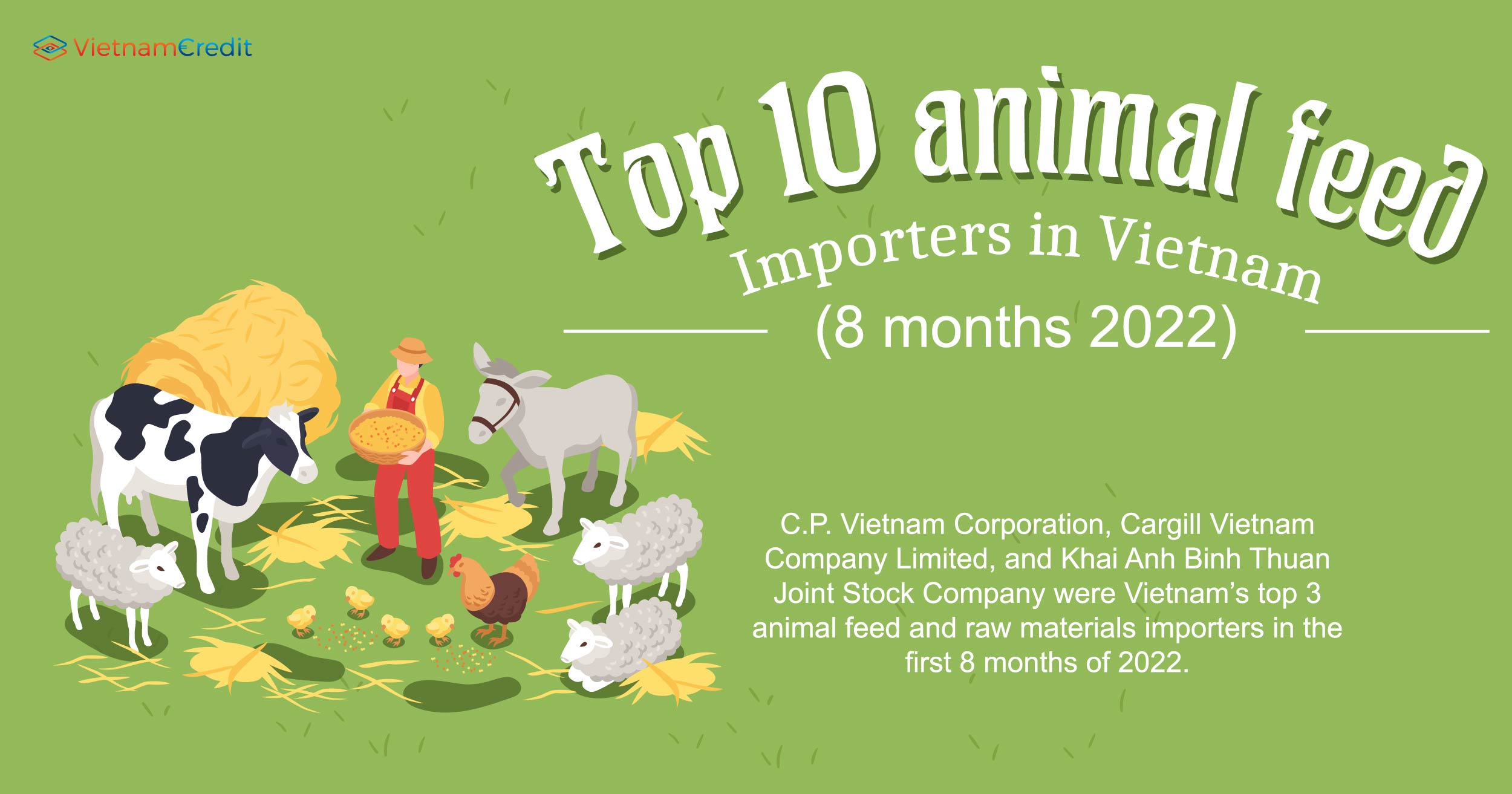 Top 10 animal feed importers in Vietnam (8 months 2022)