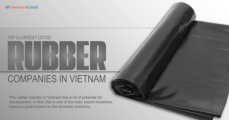 Top 5 largest listed rubber companies in Vietnam