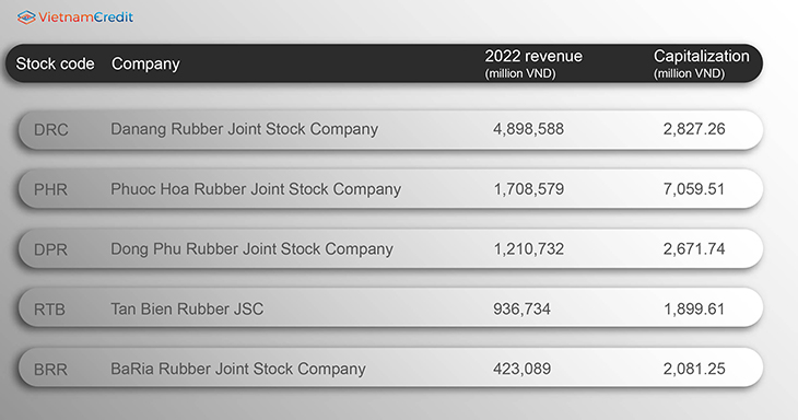 Vietnamcredit Top 5 largest listed rubber