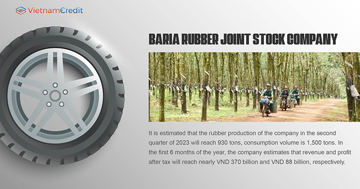 BaRia Rubber Joint Stock Company